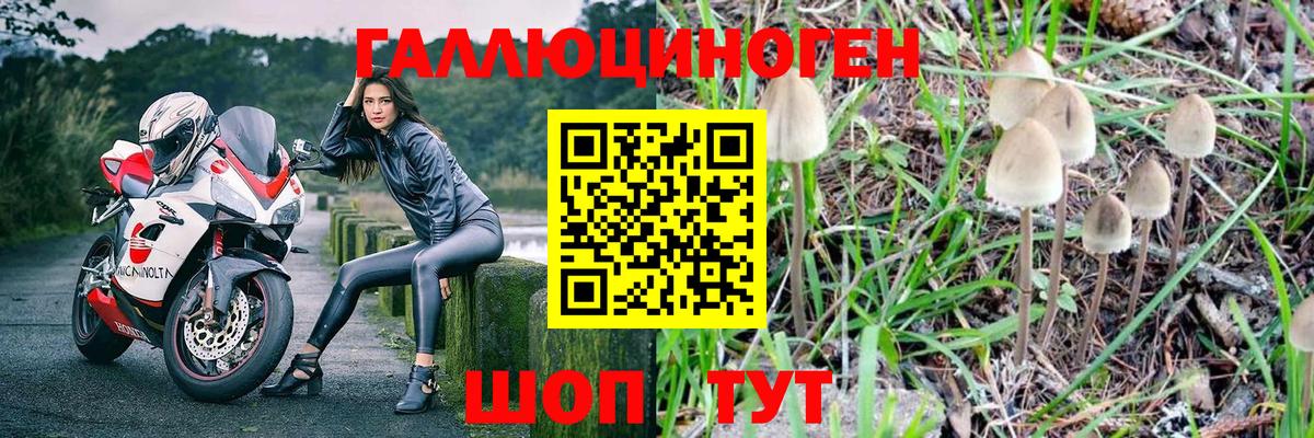 Ефремов  Галлюциногенные грибы мухоморы  Вход с VPN 